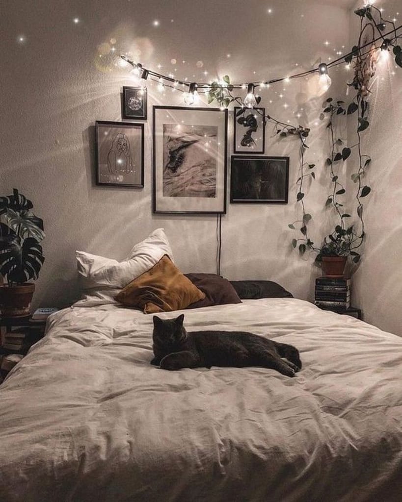String lights with pictures on wall in a room with dim lighting