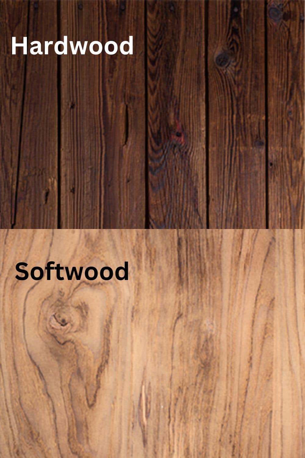Infographic comparing hardwood look versus softwood look and the hardwood is a darker color